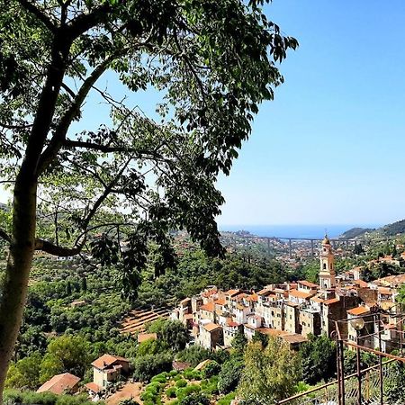 Casa Vita Διαμέρισμα Vallebona Εξωτερικό φωτογραφία